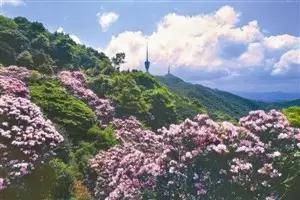 浪浪浪音乐完整版视频,久石让经典视听音乐会