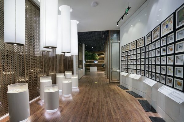 太湖舒畅之旅：乐享田园生活