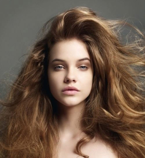 金毛狮王怎么护发,金毛狮王头怎么打理