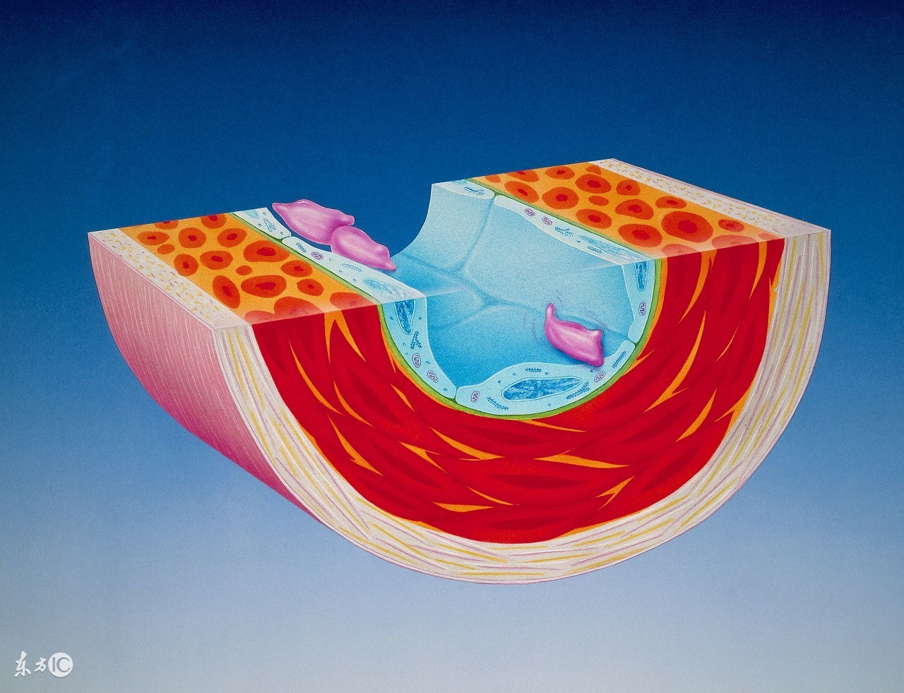 中老年人睡眠不好怎么治,中老年睡不好对健康影响