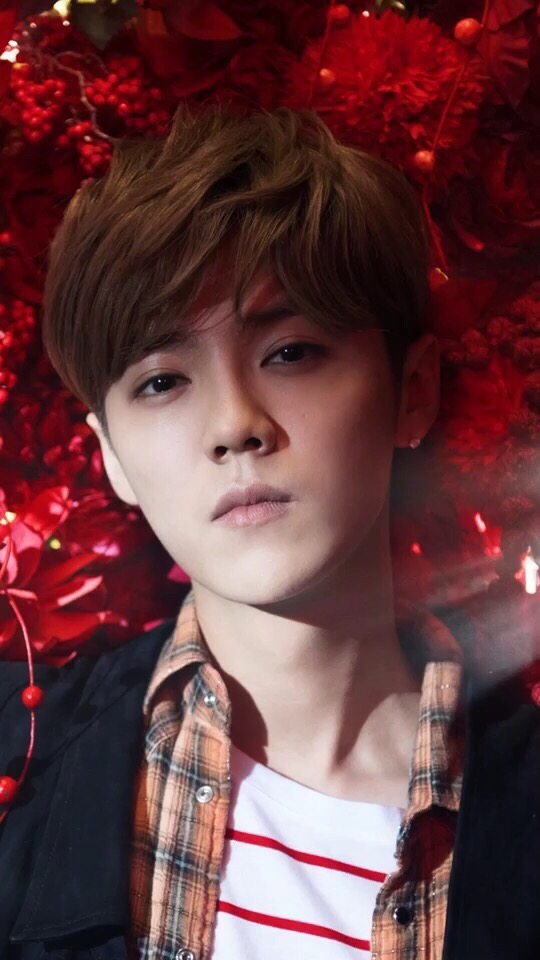 鹿晗高清手机壁纸大图,鹿晗高清壁纸2017卡通