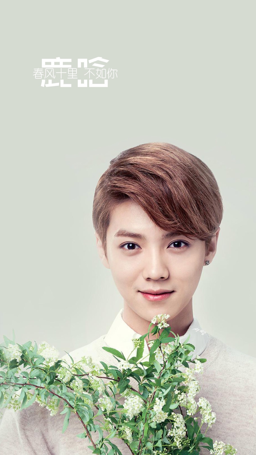 鹿晗高清手机壁纸大图,鹿晗高清壁纸2017卡通