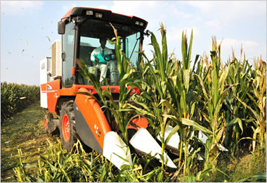 现在最好用的玉米联合收割机,最强的玉米收割机