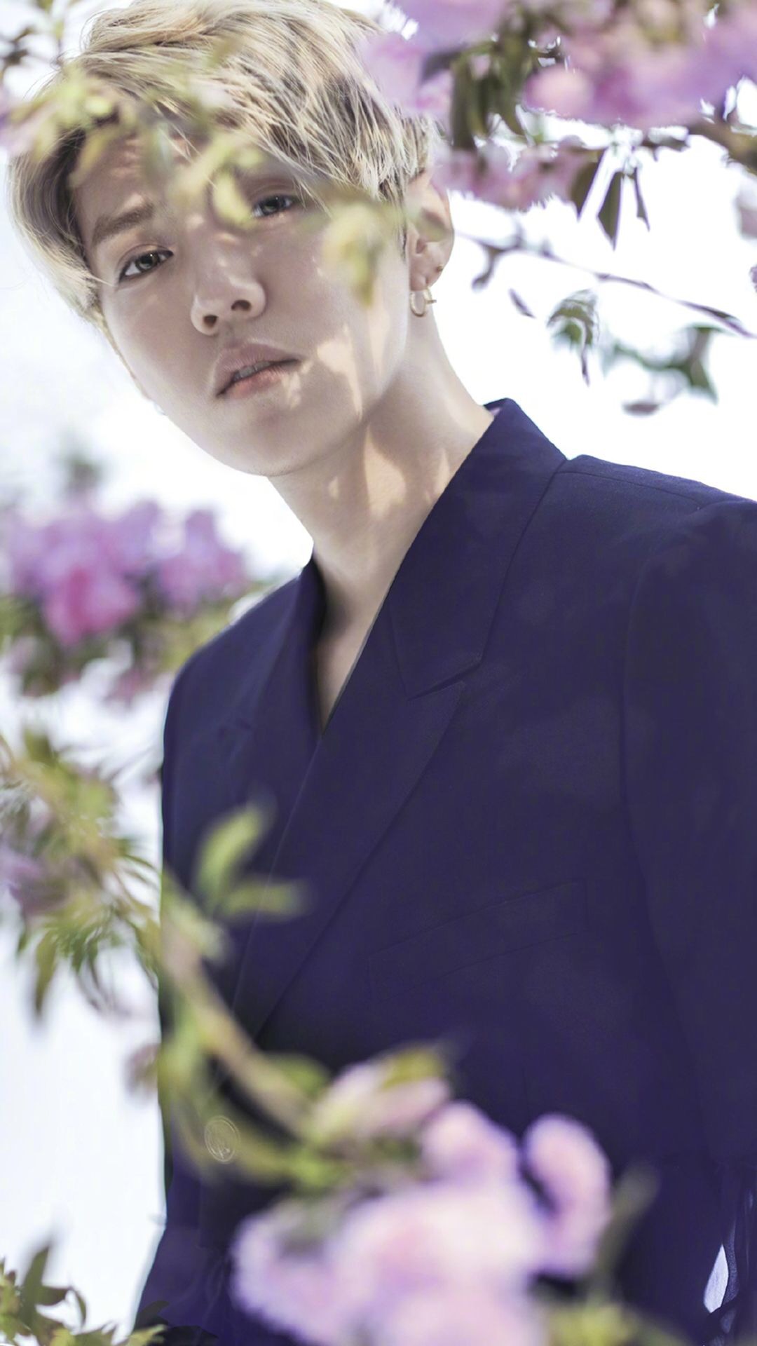 鹿晗高清手机壁纸大图,鹿晗高清壁纸2017卡通