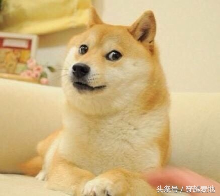 qq的中秋群发祝福几点有,qq怎么发集体给好友中秋祝福语