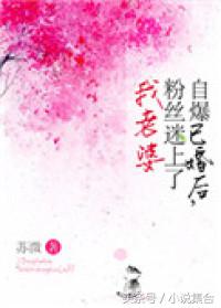 晋江高分言情小说推荐,推荐欢喜冤家甜宠文