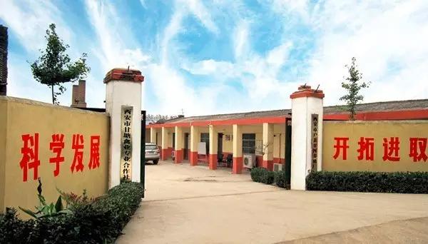 畜牧业就业难,都说养殖不赚钱为什么还有人做