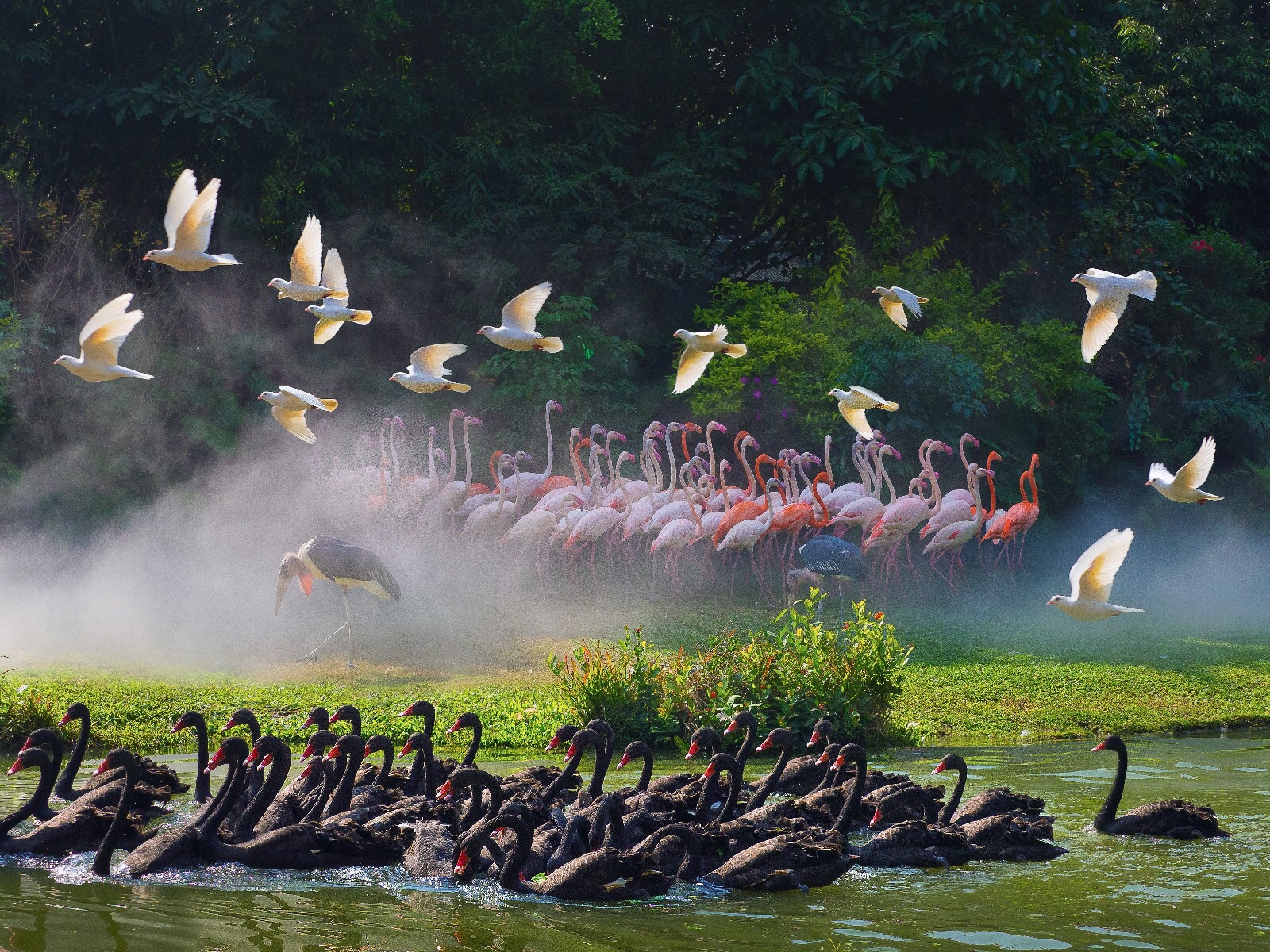 最新游玩长隆野生动物园,长隆野生动物园广州长隆攻略
