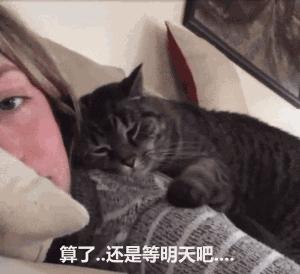 有一只会关心主人的喵星人可真好！