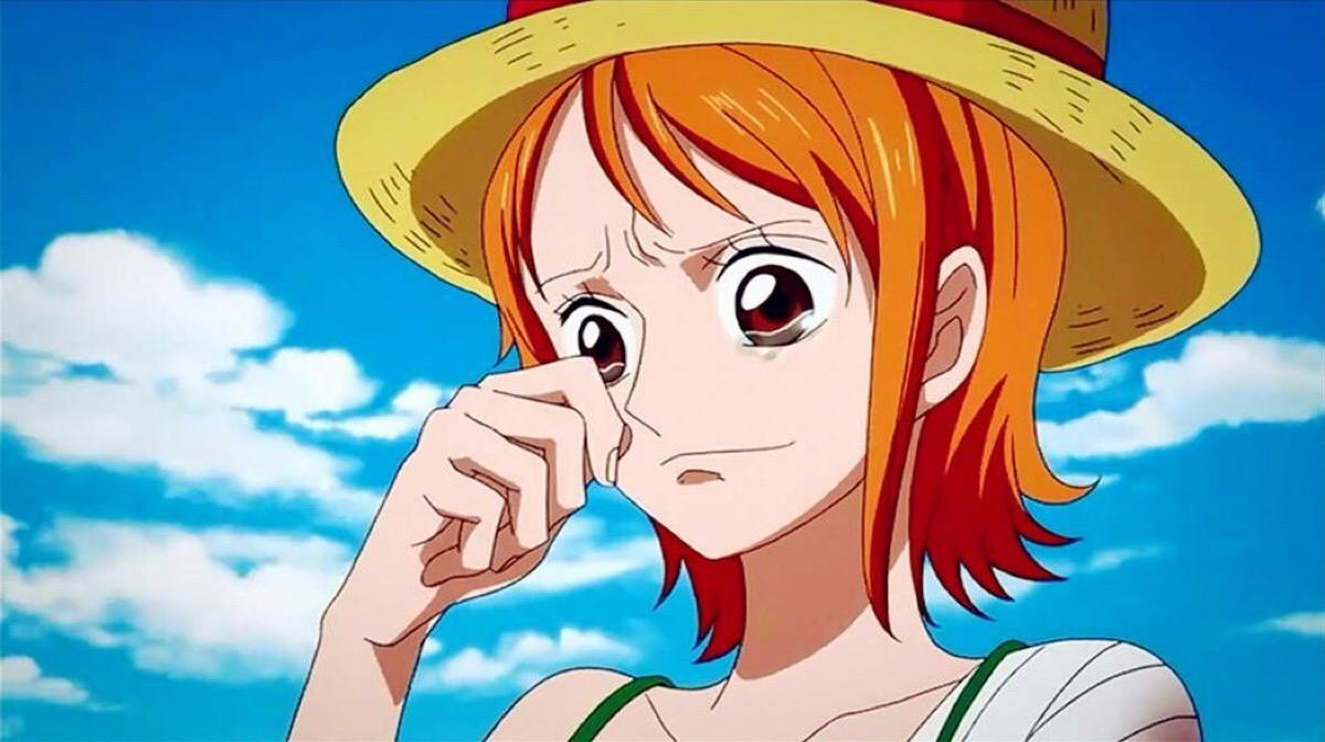 海贼王草帽海贼团成员真实名字,海贼王草帽海贼团标志大全