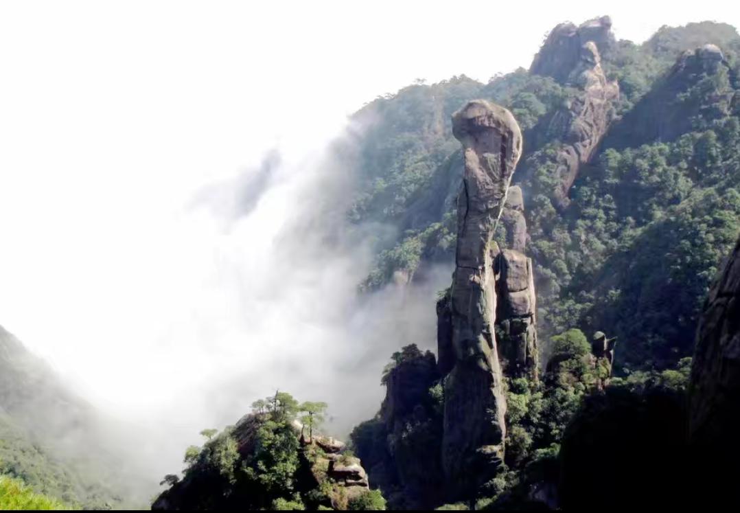 鸡汤心灵鸡汤经典语录,心灵鸡汤大全励志语录经典