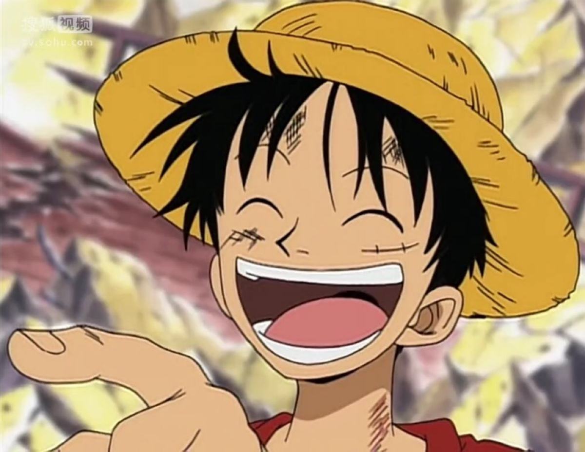 海贼王草帽海贼团成员真实名字,海贼王草帽海贼团标志大全