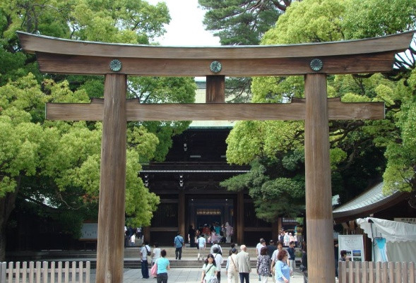 旅游景点樱花谷攻略,赏樱攻略和景点推荐