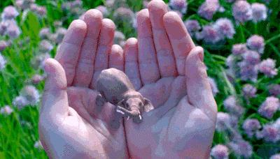 你知道什么是vr,你知道什么是vr吗