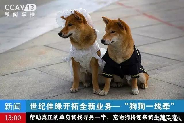 愚人节创意营销方案,愚人节营销段子