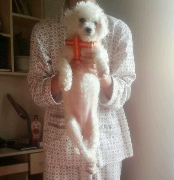 一天要出差，捡回的狗可怜巴巴望着我，竟做出的让我震惊的举动！