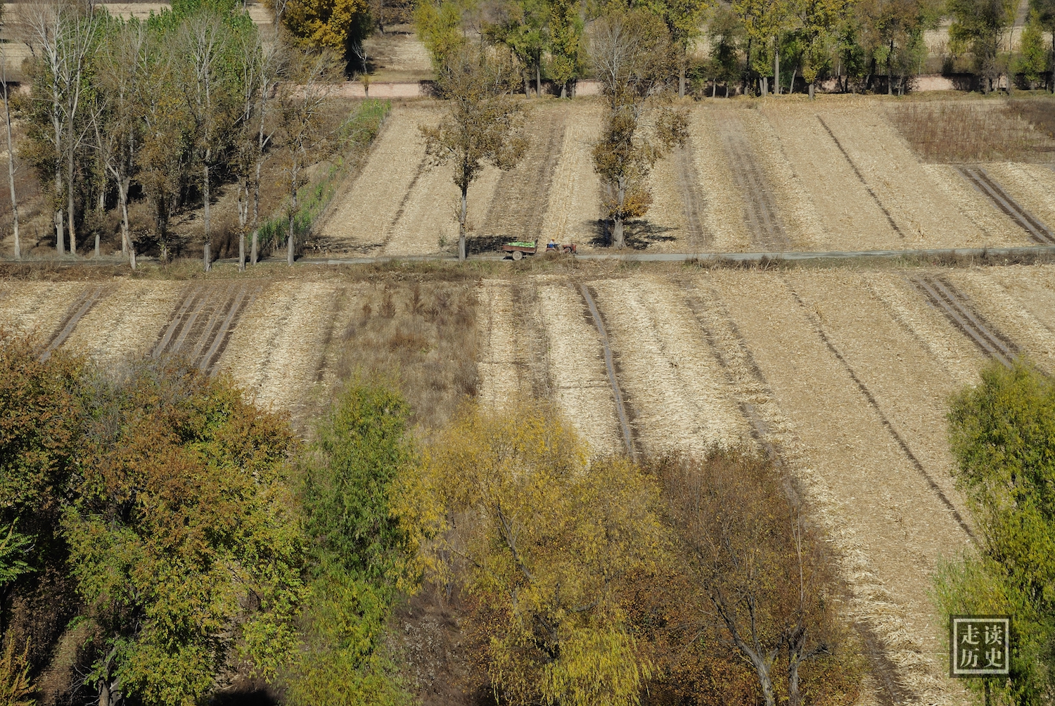 探访昭君墓：出塞的价值有多大？