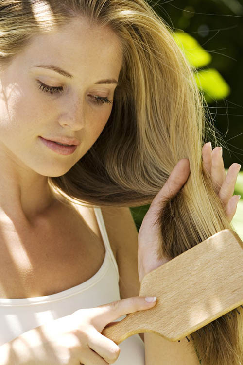 金毛狮王怎么护发,金毛狮王头怎么打理