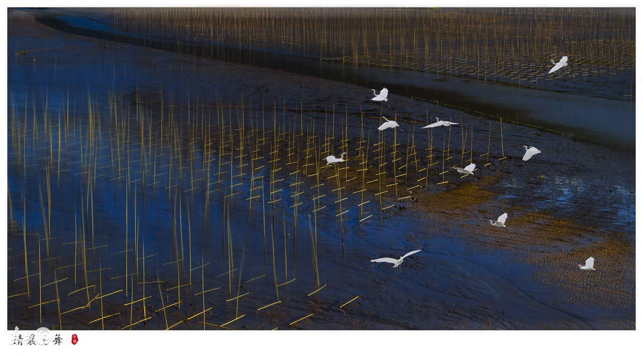 有声书赚钱的秘密,养鱼致富最赚钱的秘密