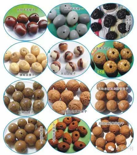 各种菩提子图鉴,史上最全菩提子品种介绍赶紧收藏