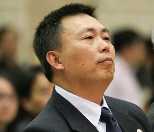 步步高董事长段永平简历,步步高vivo董事长