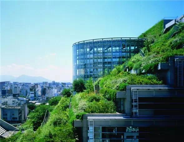 最好看的屋顶设计,25个世界上最酷炫的屋顶设计图片