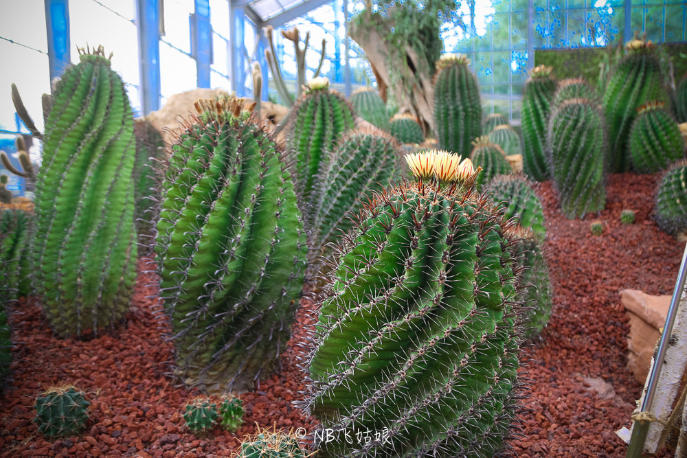 南通适合亲子游玩的园区,南通绿博园旁边游玩的地方