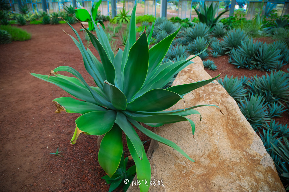 南通适合亲子游玩的园区,南通绿博园旁边游玩的地方