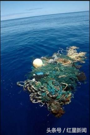 大家好，给大家介绍一下，这是你可能去的下一个国家垃圾群岛国