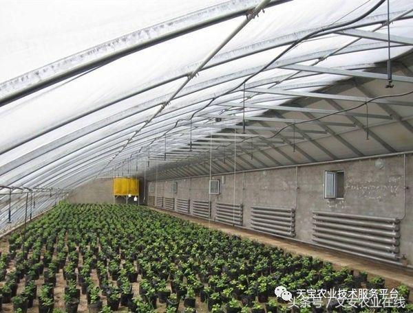 180米长14米宽温室大棚造价多少,温室大棚建造每平米价格