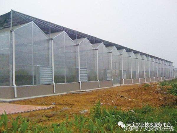 180米长14米宽温室大棚造价多少,温室大棚建造每平米价格