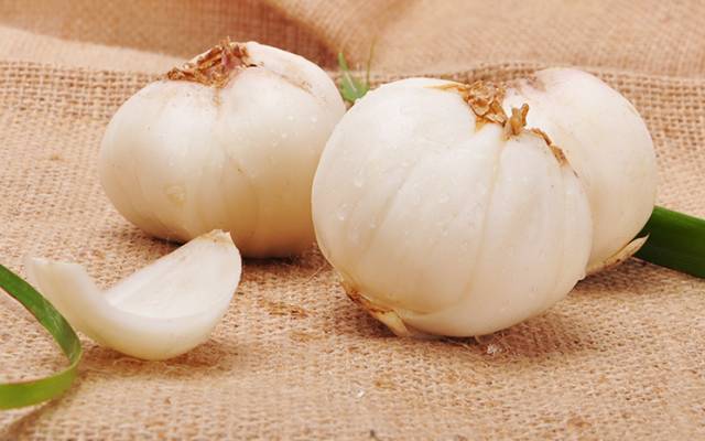 养肺润肺的最佳食谱,百合养肺排毒食疗方法