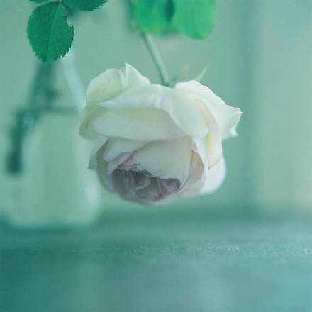 牵手一次能走到白头到老,牵手就能走到白头该多好