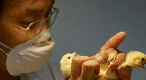 tt体验官？酒店试睡员？盘点7大奇葩轻松高薪又无人知晓的工作