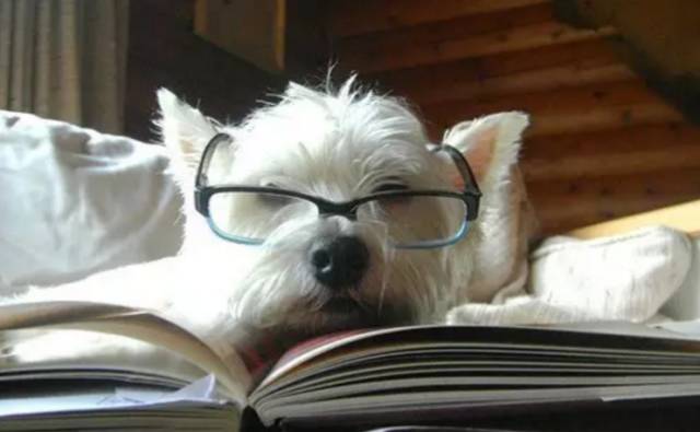 留学容易陷入的几大误区,2020年留学路真的就走不通了吗