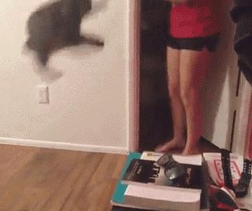 日本人使用过的毒药,日本人的神经药剂