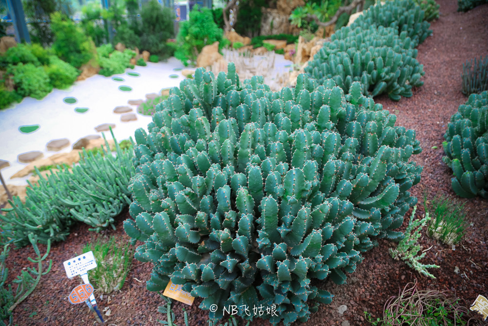 南通适合亲子游玩的园区,南通绿博园旁边游玩的地方