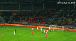 荷兰的郁金香,荷兰郁金香已然凋零