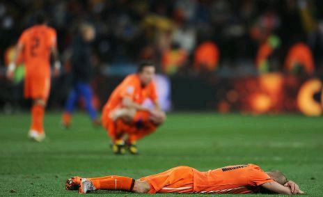 荷兰的郁金香,荷兰郁金香已然凋零