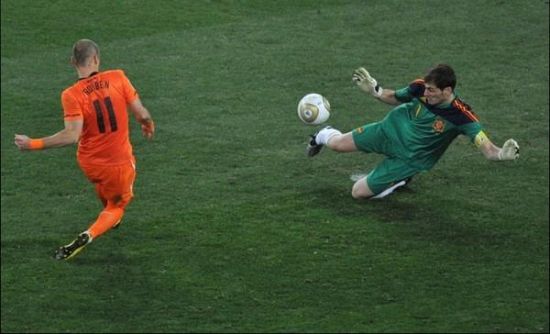 荷兰的郁金香,荷兰郁金香已然凋零