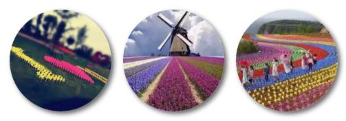 热气球南海桂城,佛山足球主题农庄