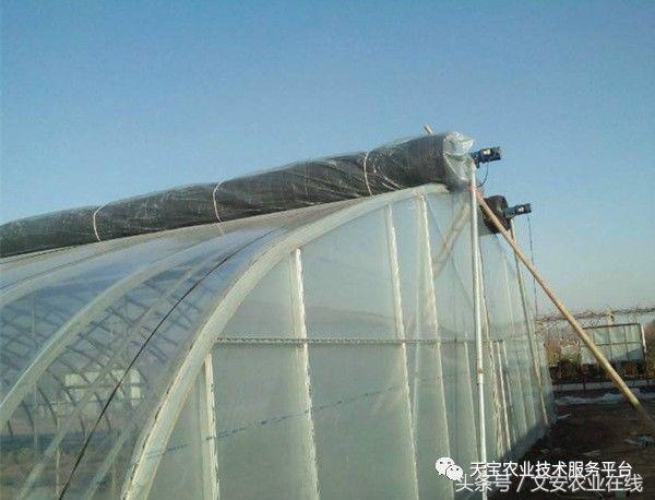 180米长14米宽温室大棚造价多少,温室大棚建造每平米价格