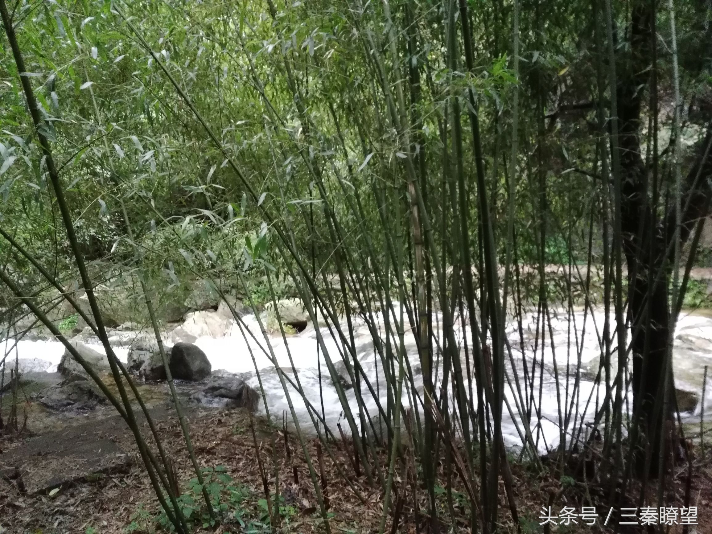 养子沟旅游度假区,养子沟风景区门票价格