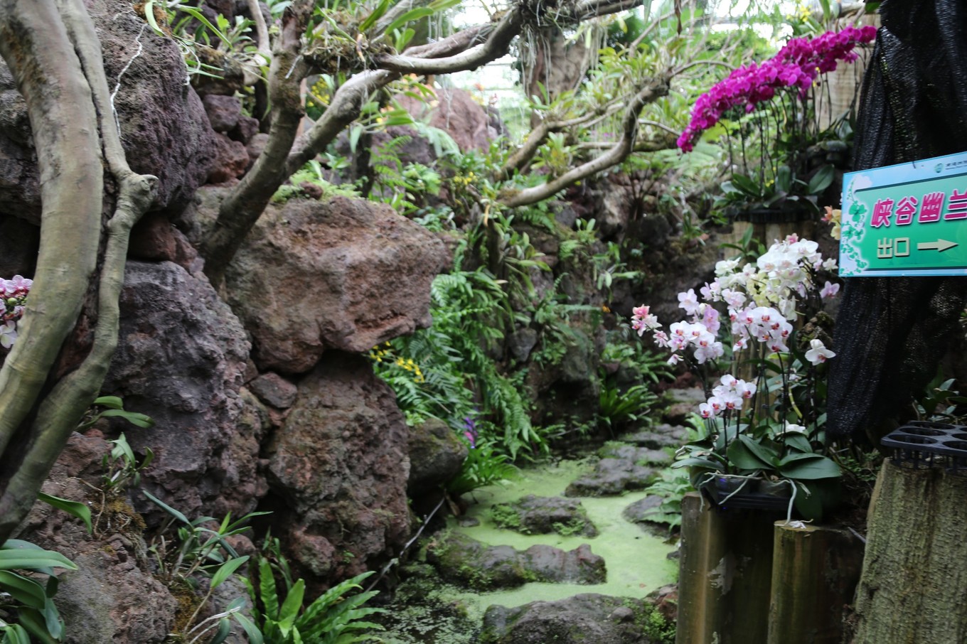 南通适合亲子游玩的园区,南通绿博园旁边游玩的地方