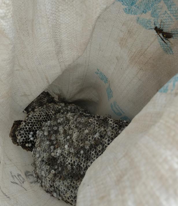 摩托车可以做什么小本生意,开一辆摩托车可以做什么生意