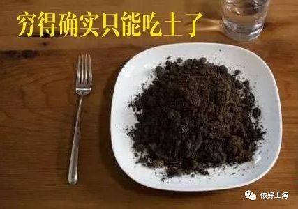 上海人的生存指南,上海生存100个小技巧