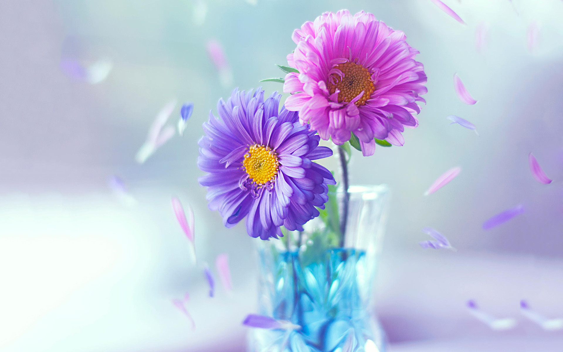 月嫂带来的婆媳矛盾,为什么月嫂和婆婆会产生矛盾