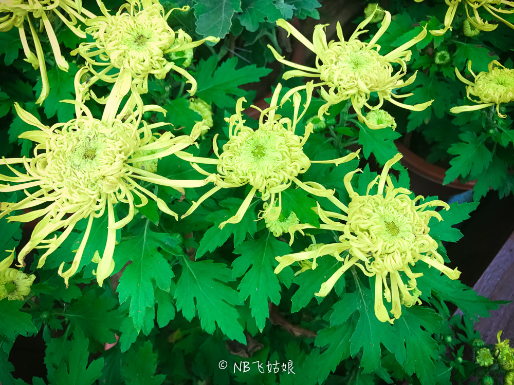 南通适合亲子游玩的园区,南通绿博园旁边游玩的地方