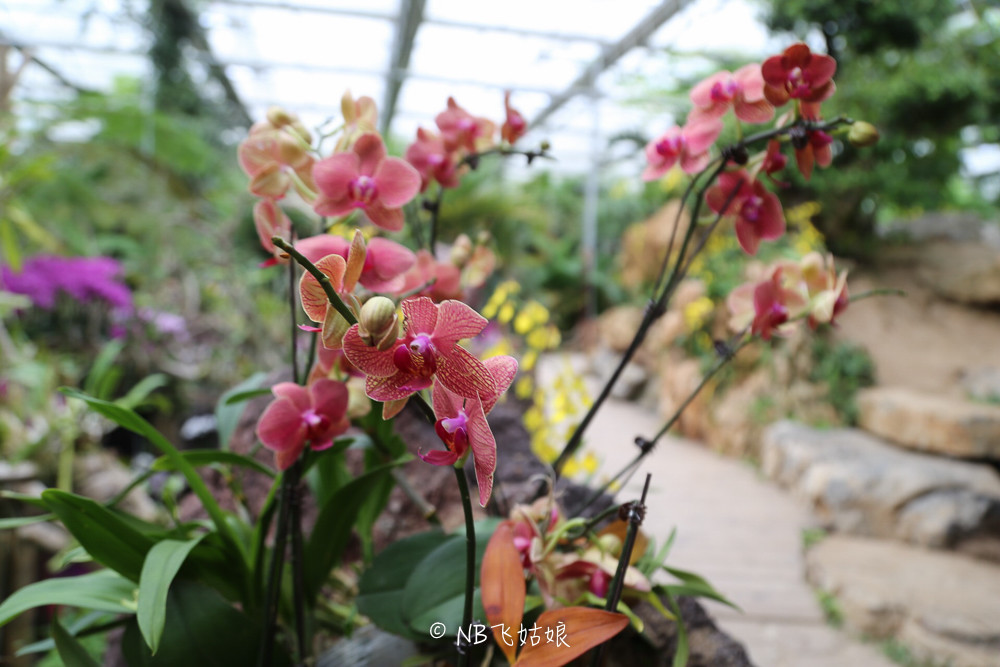 南通适合亲子游玩的园区,南通绿博园旁边游玩的地方