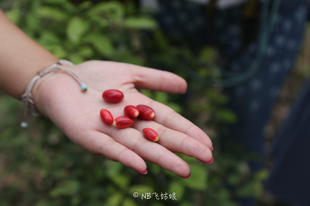 南通适合亲子游玩的园区,南通绿博园旁边游玩的地方